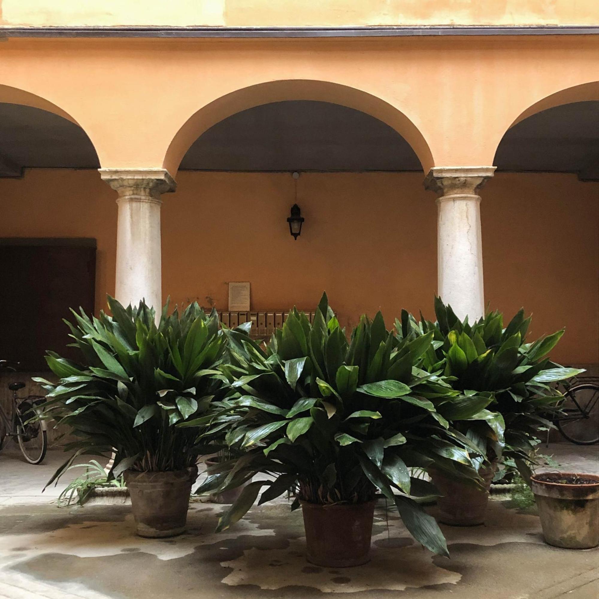 Casa Giulietta Lägenhet Cremona Exteriör bild